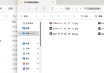 使用文件管理软件在线将包含统一关键字的文件和文件夹批量复制或移动到目标文件夹，轻松成为办公软件达人