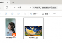 办公软件达人私藏绝技，使用文件管理软件在线将某张图片和视频批量复制多次到目标文件夹的方法