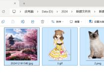 图片处理效率狂飙，图片批量处理软件将不同格式的gif、png、jpg图片按比例缩小并设置透明优先和保留动图效果的方法