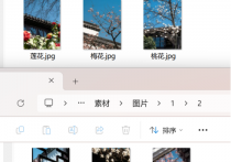 图片处理新潮流：随机选取JPG，智能生成GIF并自动调整尺寸
