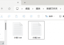 办公软件达人支招使用单文本编辑器快速编辑txt小说内容并统一文档中的字体字形字号颜色等参数，让文件管理变得简单