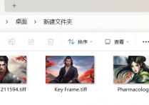 图片处理高手携图片格式转换器来袭，快速搞定tiff转jpg并以新数字命名保存到指定文件夹，轻松完成图片批量处理任务