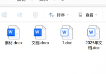 文本编辑大师教你：如何批量将DOC/DOCX转为TXT提升效率