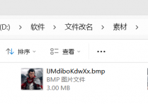 图片格式转换秒搞定，图片处理工具一键将多张bmp转jpg图片并设置保存在原文件夹自动改名，图片批量处理效率翻倍