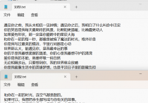 一键提高文件管理效率，使用办公软件实现txt文档中在每行文字间插入1行或2行空行内容，提高工作效率的方法