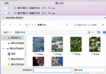 一键缩放多图JPG转BMP：软件加持，指定路径轻松处理