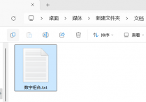 告别手动排列，巧用办公软件从10个或20个数字中抽取几个数字组成复式文本并另存至txt文档的简单操作