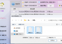 文件管理效率大提升，教你使用办公软件快速隔行删除TXT文档中的内容并保存到新文件夹，提高工作效率的方法