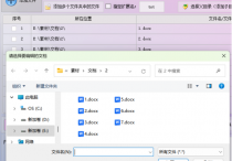 办公达人必备：Word文档高效转换与内容定制教程