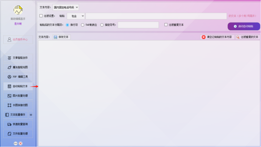 批量文本处理新篇章：高效自动粘贴，智能分隔与重复内容过滤，让文本处理变得更轻松